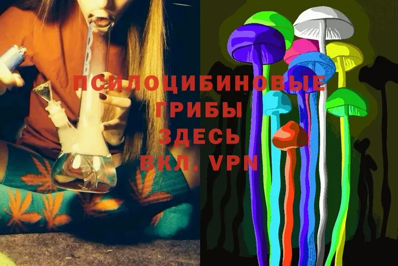 Галлюциногенные грибы Psilocybine cubensis  Белый 