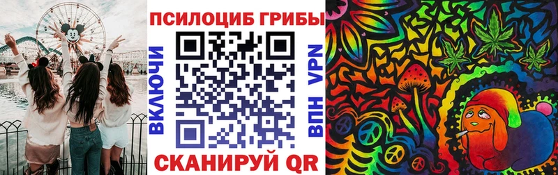 Галлюциногенные грибы мицелий  shop официальный сайт  Белый 